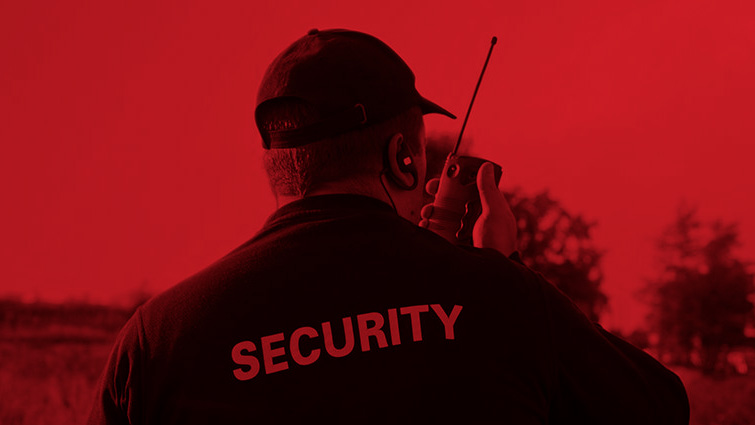 Projetos e negócios voltados às Organizadoras de Eventos